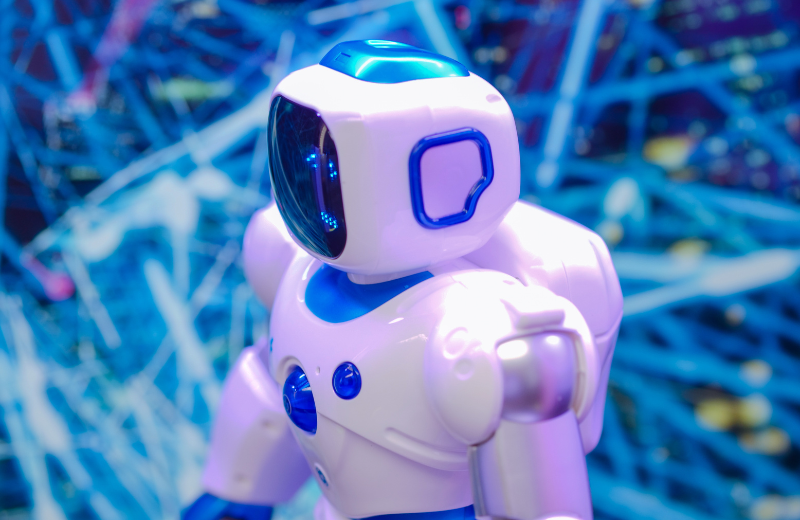 Customer Support Chatbot